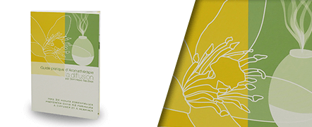 Guide pratique d'aromathérapie, la diffusion